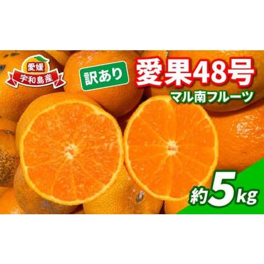 ふるさと納税 果物類 みかん 愛媛県 宇和島市 みかん 訳あり 愛果48号 ( 紅プリンセス と同品種) 5kg マル南フルーツ 不揃い 先行予約 柑橘 みかん 愛媛みかん…