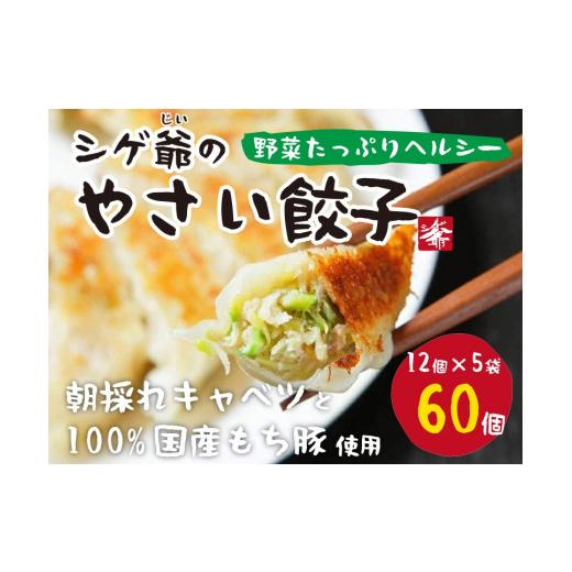 ふるさと納税 惣菜・レトルト 冷凍 高知県 土佐町 国産素材にこだわったシゲ爺のやさいぎょうざ