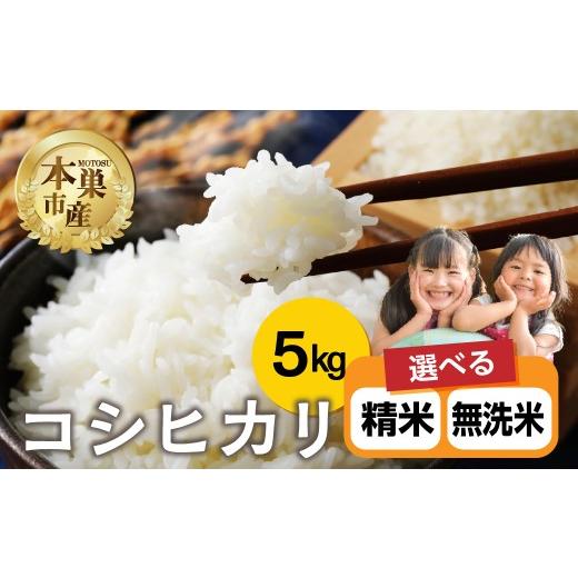 ふるさと納税 米 コシヒカリ 岐阜県 本巣市 令和8年産 無洗米 こしひかり 5kg 米 コシヒカリ こめ ごはん 白米 岐阜県 本巣市 お米 精米 無洗米 甘い 和食 寿…