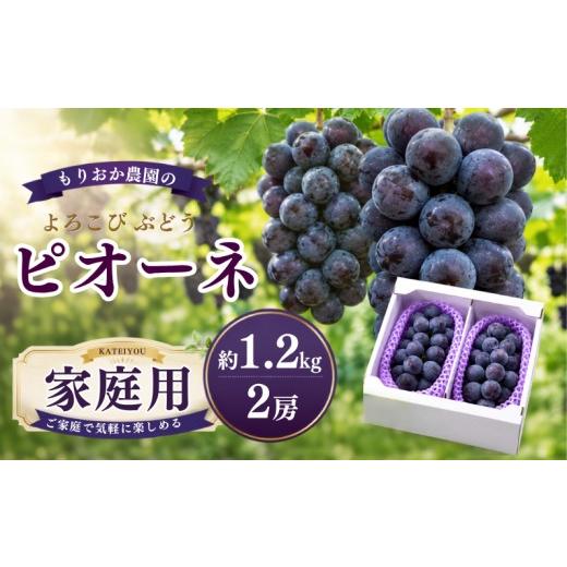 ふるさと納税 果物類 ぶどう 岡山県 新見市 家庭用 もりおか農園のよろこびぶどう ピオーネ 約1.2kg 2房 先行予約 2026年9月上旬から順次発送 家庭用 1.2kg(…