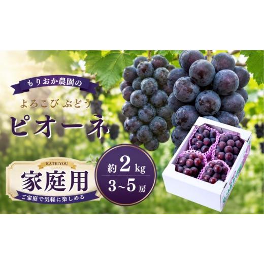 ふるさと納税 果物類 ぶどう 岡山県 新見市 家庭用 もりおか農園のよろこびぶどう ピオーネ 約2kg 3〜5房 先行予約 2026年9月上旬から順次発送 家庭用 2kg(3…