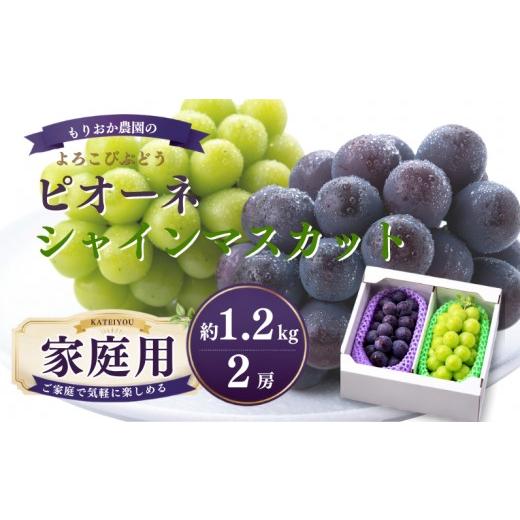 ふるさと納税 ぶどう マスカット 岡山県 新見市 家庭用 もりおか農園のよろこびぶどう ピオーネ&シャインマスカット 約1.2kg 2房(各1房) 先行予約 2026年1…
