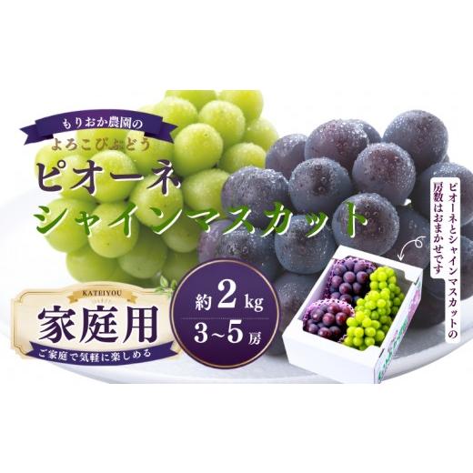 ふるさと納税 果物類 ぶどう 岡山県 新見市 家庭用 もりおか農園のよろこびぶどう ピオーネ&シャインマスカット 約2kg 3〜5房 先行予約 2026年10月上旬から…