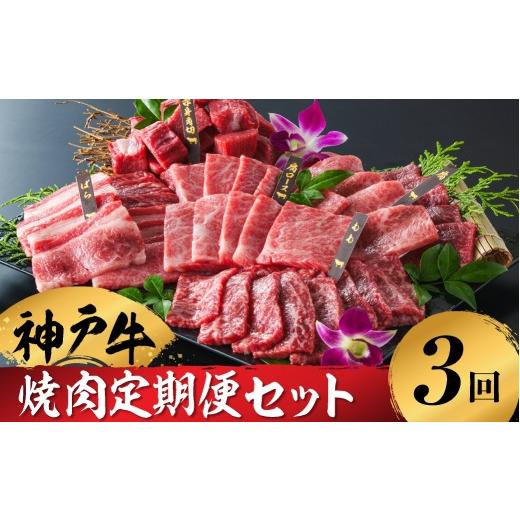 ふるさと納税 牛肉 焼肉・バーベキュー 兵庫県 豊岡市 神戸牛 ボリューム焼肉セットを含む焼肉定期便 全3回 帝神志方ミート 焼肉定期便3回