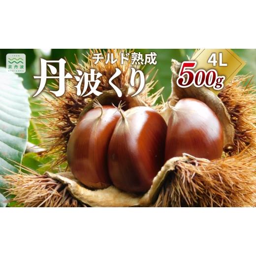 ふるさと納税 果物類 栗 京都府 京丹波町 チルド熟成 丹波くり 4L 500g( 京都 京丹波町産 丹波栗 熟成 生栗) 北海道・沖縄は配送不可 011TNX001L チルド熟成…