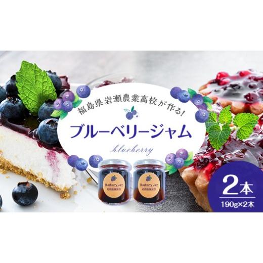 ふるさと納税 ジャム ブルーベリー 福島県 鏡石町 岩瀬農業高校産 ブルーベリージャム 190g 2本 F6Q-539