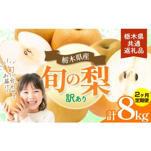 ふるさと納税 梨 栃木県 野木町 2ヶ月定期便 先行予約 訳あり 旬の梨 計8kg 約4kg×2回 幸水 豊水 あきづき 新高 にっこり[8月上旬-10月上旬頃出荷予定] 栃…