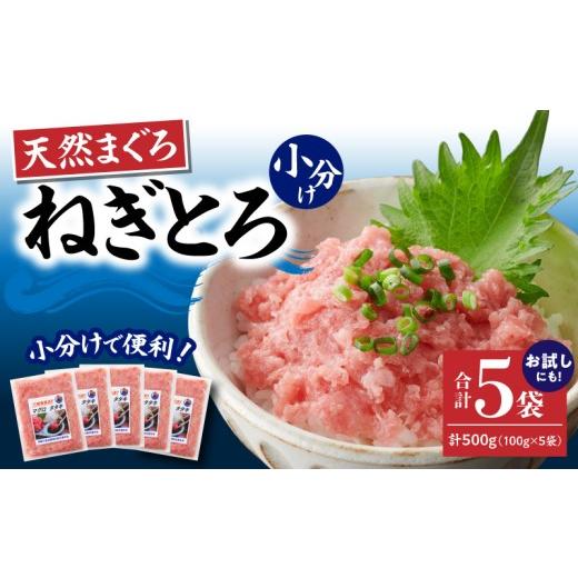 ふるさと納税 マグロ 神奈川県 三浦市 神奈川県漁連 天然まぐろ ねぎとろ 500g(100g×5パック) 10月お届け M077-015-01-10 10月お届け