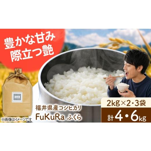 ふるさと納税 米 コシヒカリ 福井県 小浜市 福井県産 こしひかり 『FukuRa』(ふっくら) 2kg×2袋 合計4.0kg
