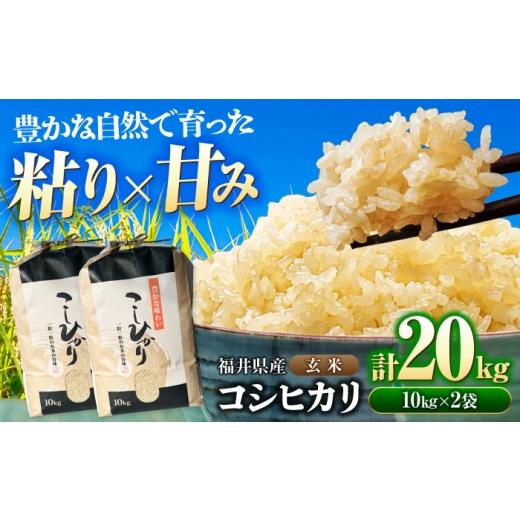 ふるさと納税 米 コシヒカリ 福井県 小浜市 福井県産 コシヒカリ 玄米 10kg×2 (20kg)