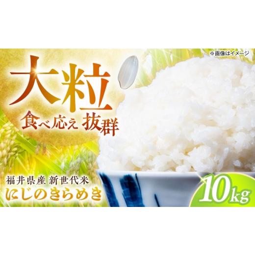 ふるさと納税 米 福井県 小浜市 福井県 小浜産 にじのきらめき 10kg