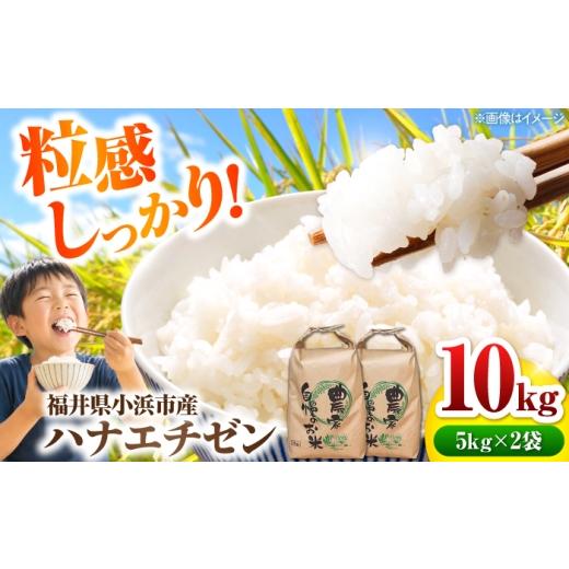 ふるさと納税 米 福井県 小浜市 小浜のハナエチゼン 10kg(5kg×2袋)