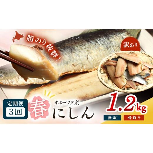 ふるさと納税 魚貝類 北海道 興部町 ワケあり 特大 “生冷" 春にしんフィレ1.2kg(オホーツク産・オス無塩)3ヶ月定期便 | 生冷 春にしん 計1.2kg 大容量 春…