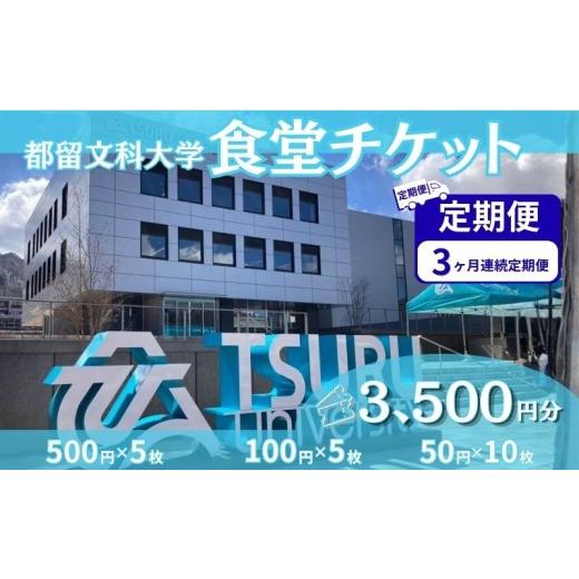 ふるさと納税 お食事券 山梨県 都留市 都留文科大学 学生食堂チケット 3か月連続定期便 毎月3,500円分 全3回 3か月連続定期便