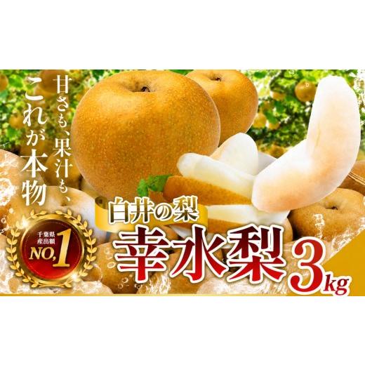 ふるさと納税 梨 千葉県 白井市 幸水3kg 贈答用 幸水(贈答用)3kg