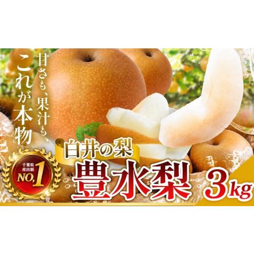 ふるさと納税 梨 千葉県 白井市 先行予約豊水3kg 贈答用 豊水(贈答用)3kg