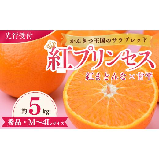 ふるさと納税 みかん・柑橘類 愛媛県 上島町 先行受付 紅プリンセス 5kg 秀 M〜4Lサイズ | 紅まどんな × 甘平 みかん 愛媛 愛媛県産 ミカン 蜜柑 愛果48号 …