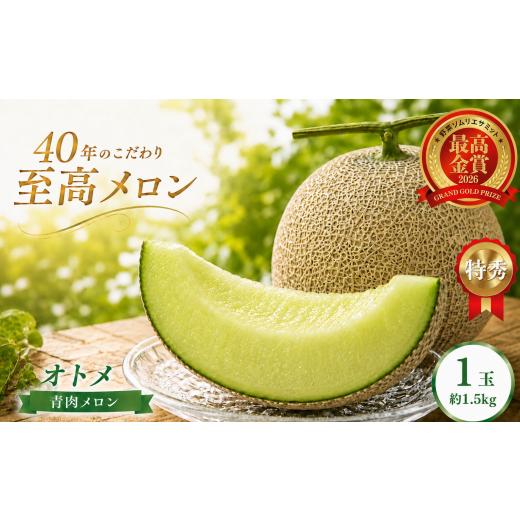 ふるさと納税 メロン メロン赤肉 栃木県 真岡市 オトメ メロン 1玉(約1.5kg) | 2027年 先行予約 メロン 完熟 果物 フルーツ ギフト デザート 栃木県 真岡市 送…