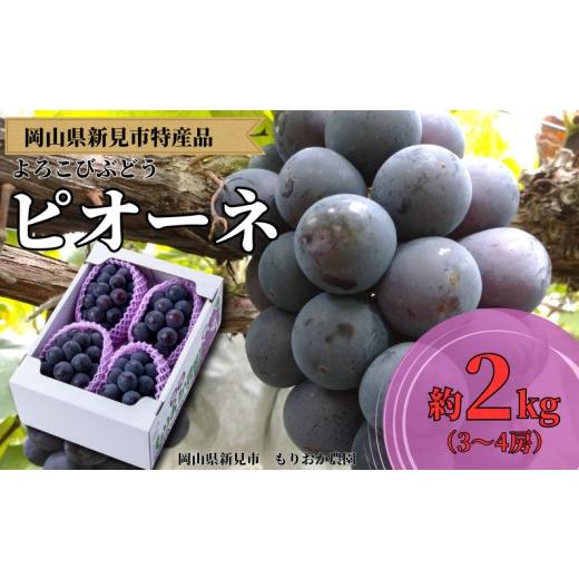 ふるさと納税 果物類 ぶどう 岡山県 新見市 もりおか農園のよろこびぶどう ピオーネ 約2kg 3〜4房 先行予約 2026年9月上旬から順次発送 2kg(3〜4房)