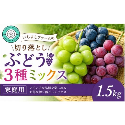 ふるさと納税 ぶどう マスカット 岡山県 真庭市 ぶどう 2026年先行予約 ぶどう切り落とし 3種セット 粒パック 家庭用 1.5kg 除草剤不使用 岡山産いちよしファ…