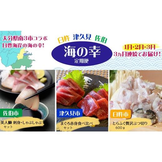 ふるさと納税 フグ 大分県 臼杵市 海の幸定期便 大分県南3市(臼杵・津久見・佐伯) 海の幸シリーズ 海鮮 海の幸 マグロ とらふぐ ブリ