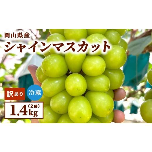 ふるさと納税 ぶどう マスカット 岡山県 鏡野町 訳あり 2026年9月発送 岡山県産 シャインマスカット 1.4kg 訳あり 1.4kg