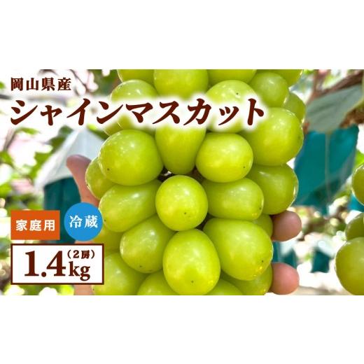 ふるさと納税 ぶどう マスカット 岡山県 鏡野町 家庭用 2026年9月発送 岡山県産 シャインマスカット 1.4kg 家庭用 1.4kg