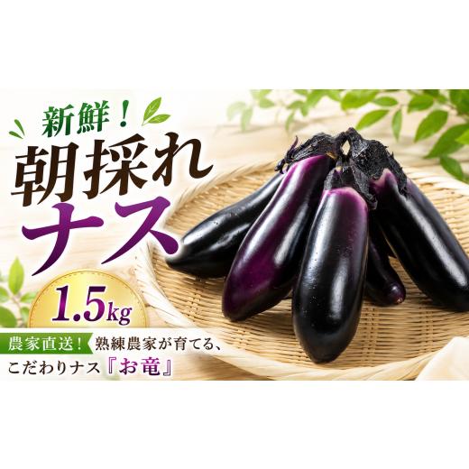 ふるさと納税 野菜類 茄子 高知県 安芸市 新鮮 朝採れ ナス 1.5kg 詰め合わせ セット 冷蔵 茄子 季節限定 夏 BBQ 野菜 ナス 国産 農家直送 夏野菜 ベジタブル …