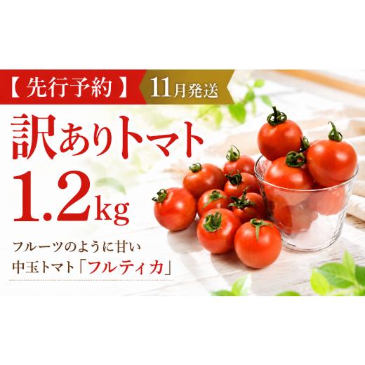 ふるさと納税 野菜類 トマト 高知県 安芸市 先行予約 11月発送 訳あり トマト 1.2kg 無添加 高糖度 中玉 不揃い トマト フルティカ とまと tomato 野菜 果物 …