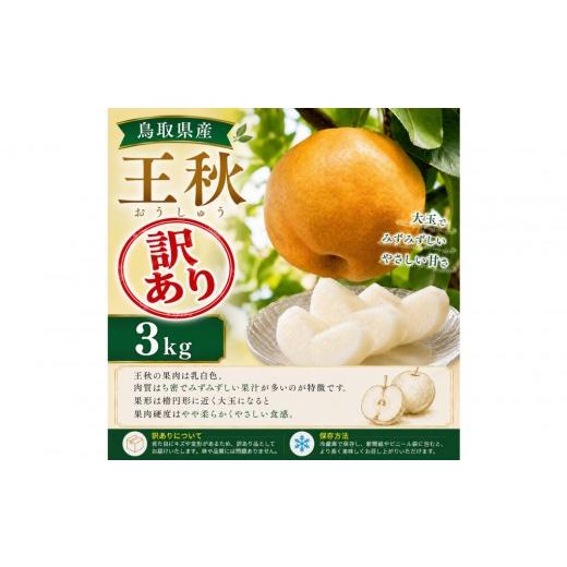 ふるさと納税 梨 鳥取県 北栄町 訳あり 山根農園 王秋 3kg 2026年10月以降発送