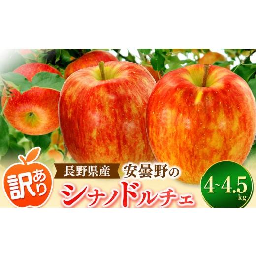 ふるさと納税 りんご 長野県 松川村 2026年先行予約 訳あり シナノドルチェ 4~4.5kg | 東印平林農園 エコファーマー認定 リンゴ りんご 林檎 果物 フルーツ …