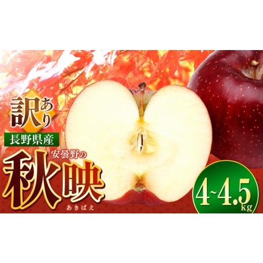 ふるさと納税 りんご 長野県 松川村 2026年先行予約 訳あり 秋映( あきばえ )4~4.5kg | 東印平林農園 エコファーマー認定 リンゴ りんご 林檎 果物 フルー…