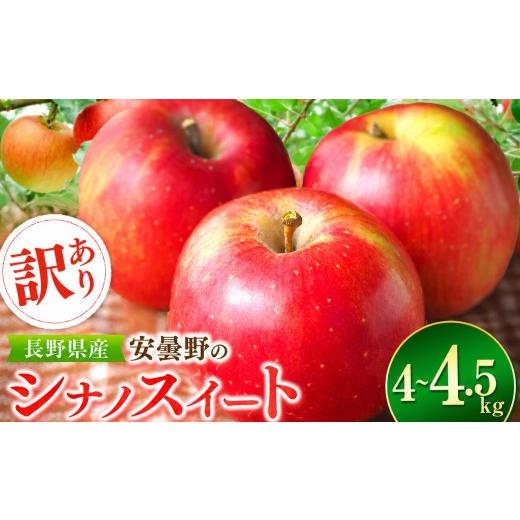 ふるさと納税 りんご 長野県 松川村 2026年先行予約 訳あり シナノスイート 4~4.5kg | 東印平林農園 エコファーマー認定 リンゴ りんご 林檎 果物 フルーツ …