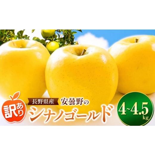 ふるさと納税 りんご 長野県 松川村 2026年先行予約 訳あり シナノゴールド 4~4.5kg | 東印平林農園 エコファーマー認定 リンゴ りんご 林檎 果物 フルーツ …