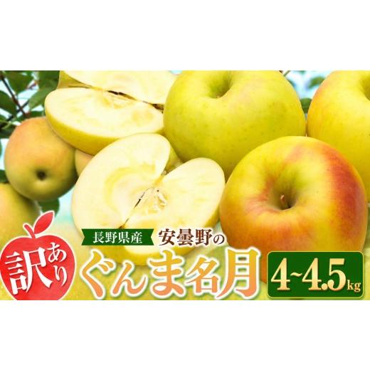 ふるさと納税 りんご 長野県 松川村 2026年先行予約 訳あり ぐんま名月 4~4.5kg | 東印平林農園 エコファーマー認定 リンゴ りんご 林檎 果物 フルーツ 果実…