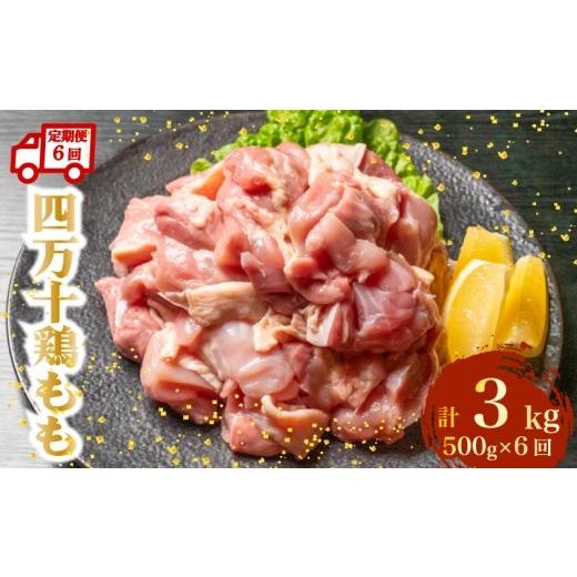 ふるさと納税 鶏肉 モモ 高知県 黒潮町 定期便6回 四万十鶏 もも肉 (カット済) 計3kg (500g×6カ月連続お届け) | 精肉 切身 カット 時短 小分け 小分けパッ…