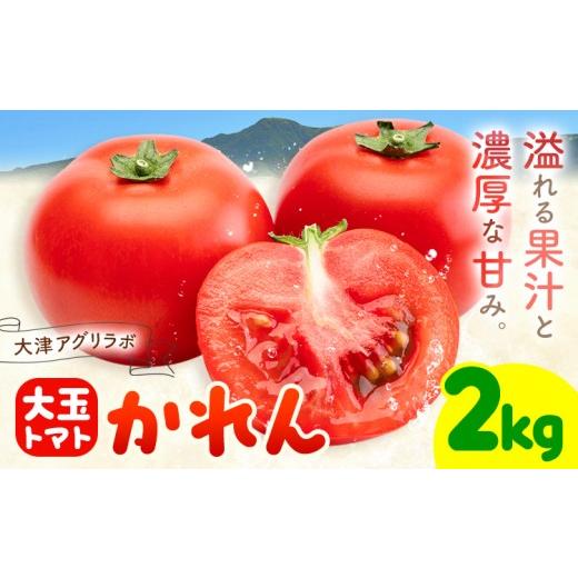 ふるさと納税 トマト 熊本県 大津町 大津アグリラボ 大玉トマト かれん 約2kg 株式会社中九州クボタ[10月上旬-6月下旬頃出荷]熊本県 大津町 トマト 大玉 野…