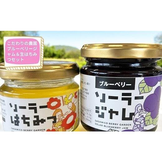 ふるさと納税 ジャム ブルーベリー 神奈川県 相模原市 相模原の山のめぐみ ブルーベリージャム&amp;「生」はちみつセット