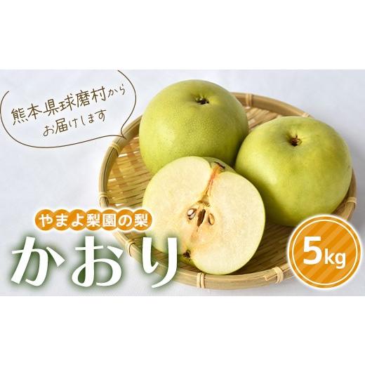 ふるさと納税 梨 熊本県 球磨村 FKP9-716 先行予約 やまよ梨園の梨 かおり 5kg 梨 果物 フルーツ 特産品
