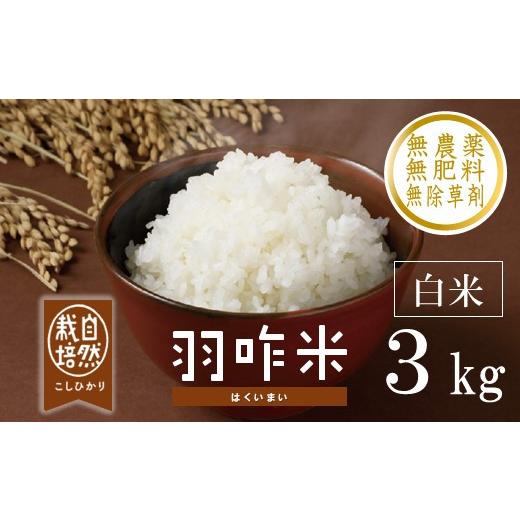 ふるさと納税 米 コシヒカリ 石川県 羽咋市 新米予約 先行予約 令和8年産 こしひかり 白米 3kg 1袋 <自然栽培米> 羽咋米 精米 白米 米 お米 こめ コメ …