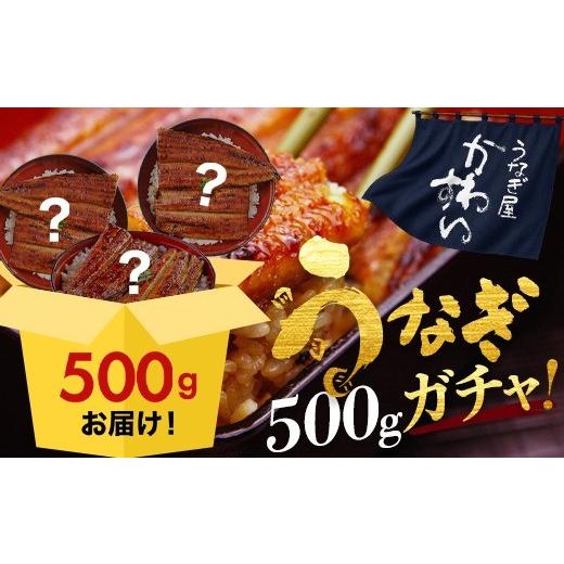 ふるさと納税 うなぎ 和歌山県 有田市 国産うなぎ蒲焼きガチャ福袋 500g入[ うなぎ屋 かわすい ] (A1154-1) | グルメ大賞連続受賞 特製タレ付 送料無料 高…