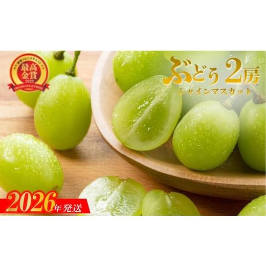ふるさと納税 ぶどう マスカット 福島県 福島市 No.3365 ぶどう シャインマスカット (約500g×2房) 2026年発送