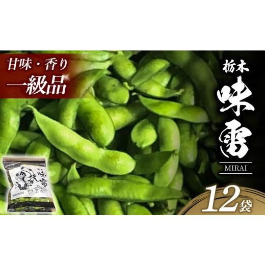 ふるさと納税 豆類 枝豆 栃木県 高根沢町 土づくりからこだわったオリジナルブランド枝豆「味雷」3kg(250g×12袋) | えだまめ えだ豆 濃厚 オリジナル 産地…