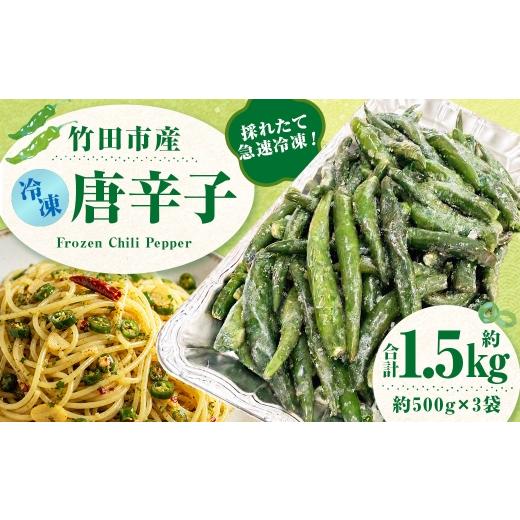 ふるさと納税 野菜類 大分県 竹田市 採れたて急速冷凍 竹田市産 冷凍唐辛子 約500g × 3袋 ( 計約1.5kg ) 2026年8月下旬から順次発送予定