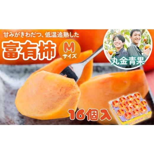 ふるさと納税 果物類 柿 岐阜県 本巣市 先行予約 令和8年産 丸金青果 富有柿 Mサイズ(16個入) 低温追熟 甘みがきわだつ 低温追熟した富有柿をお届け 12月下旬…