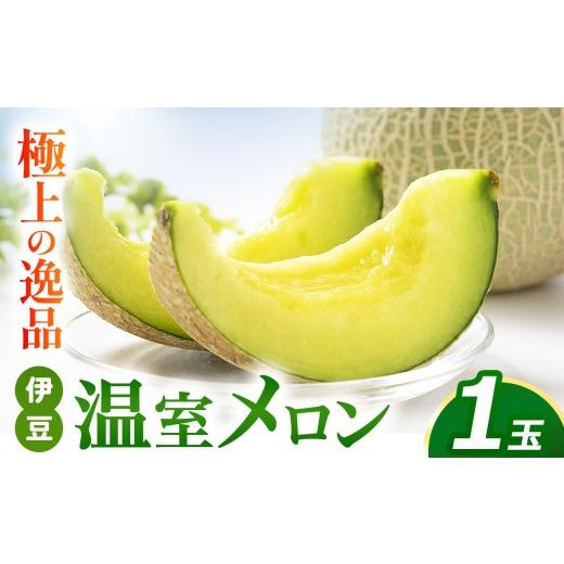 ふるさと納税 メロン メロン青肉 静岡県 伊豆の国市 先行予約 [期間限定]極上の逸品 伊豆温室メロン(1玉)| 果物 メロン フルーツ マスクメロン 旬 デザ…