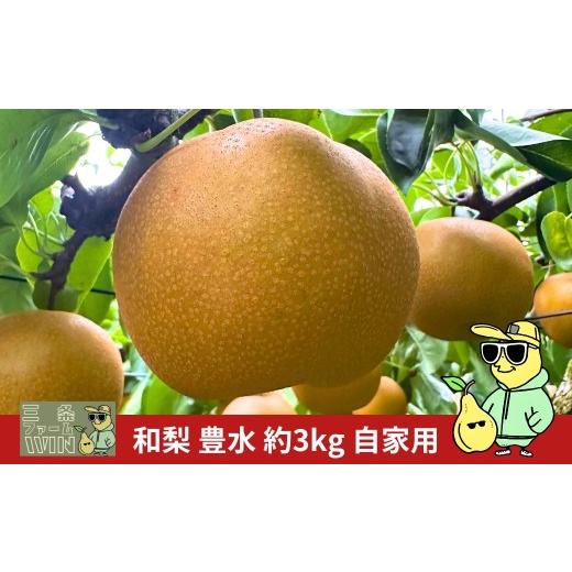 ふるさと納税 梨 新潟県 三条市 豊水 自家用 約3kg 令和8年度 新潟フルーツ 新潟県産 梨 三条ファームWIN