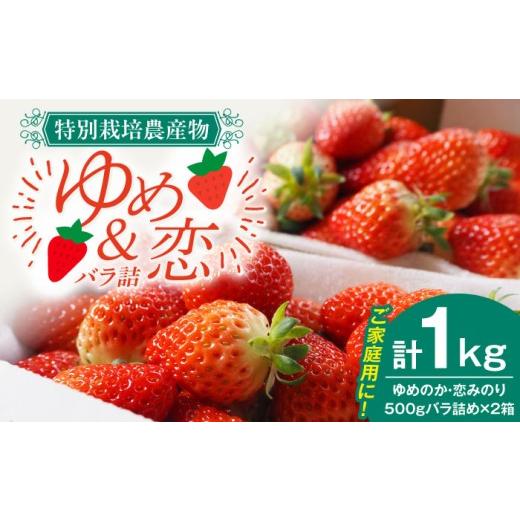 ふるさと納税 いちご 長崎県 壱岐市 先行予約 家庭用 いちご 2種食べ比べ 計1kg (ゆめのか・恋みのり) 2027年2月以降順次発送 [壱岐市] 蒼花 JEO002 家庭…
