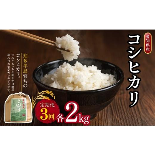 ふるさと納税 米 コシヒカリ 愛知県 美浜町 定期便3回 愛知県産 コシヒカリ 2kg|定期便 2kg 米 お米 コメ こめ おにぎり 弁当 愛知県 美浜町 新米 北海道・…