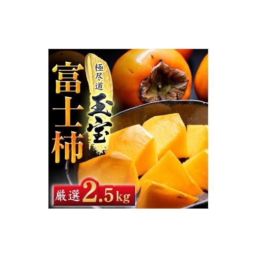 ふるさと納税 果物類 柿 愛媛県 八幡浜市 先行受付 堂々たる大玉 ずっしり濃密 富士柿 2.5kg 愛媛県産 64-104 1756050